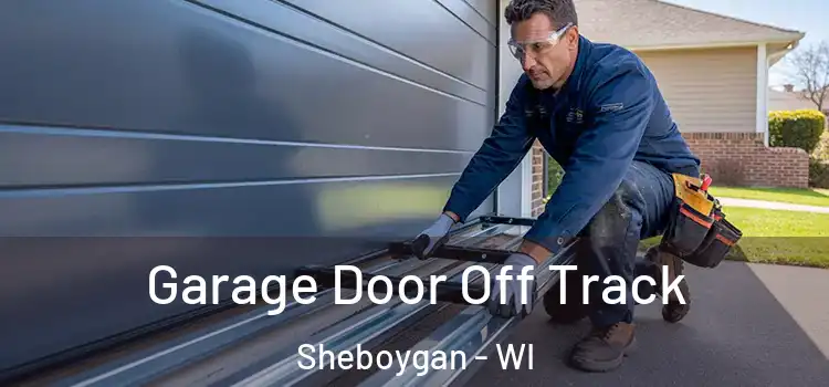  Garage Door Off Track Sheboygan - WI
